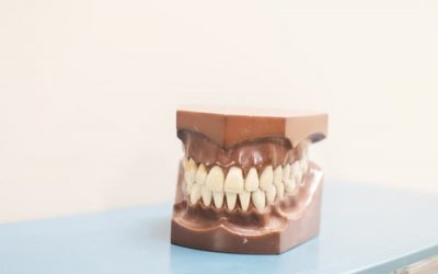 Picture of dentures sculpture.
